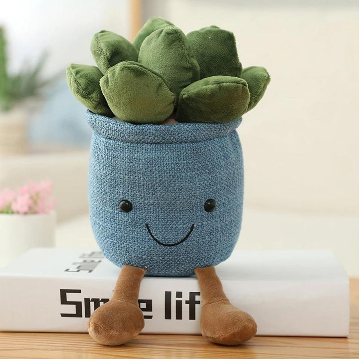 Plante Plyds