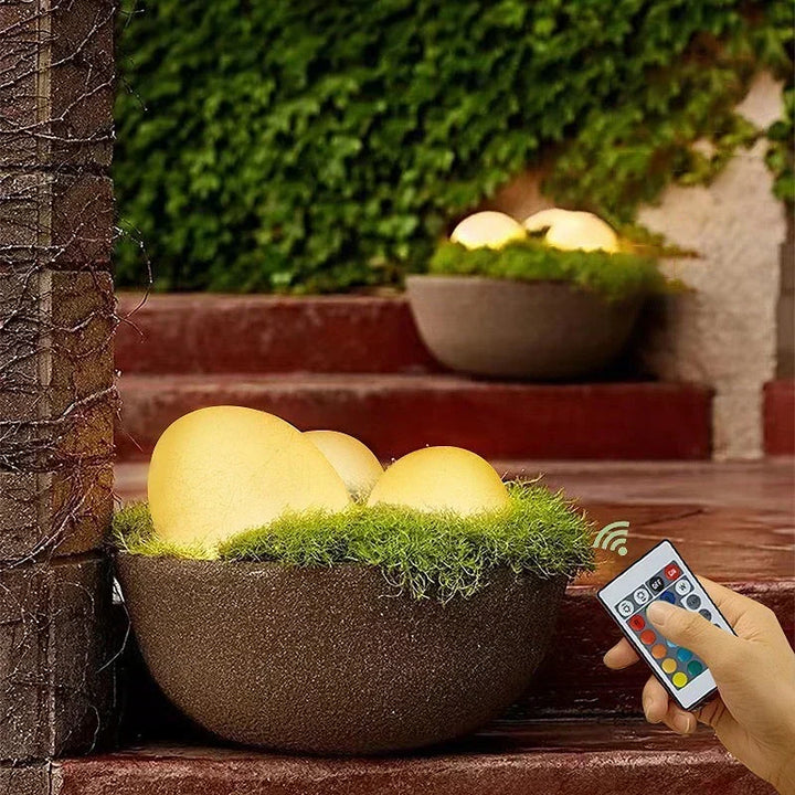 Sol-Paver-Have-Lys
