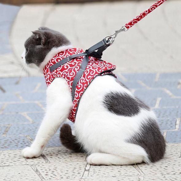 Kravejakke og snor til kat |