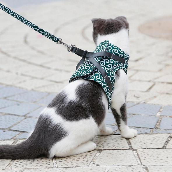 Kravejakke og snor til kat |