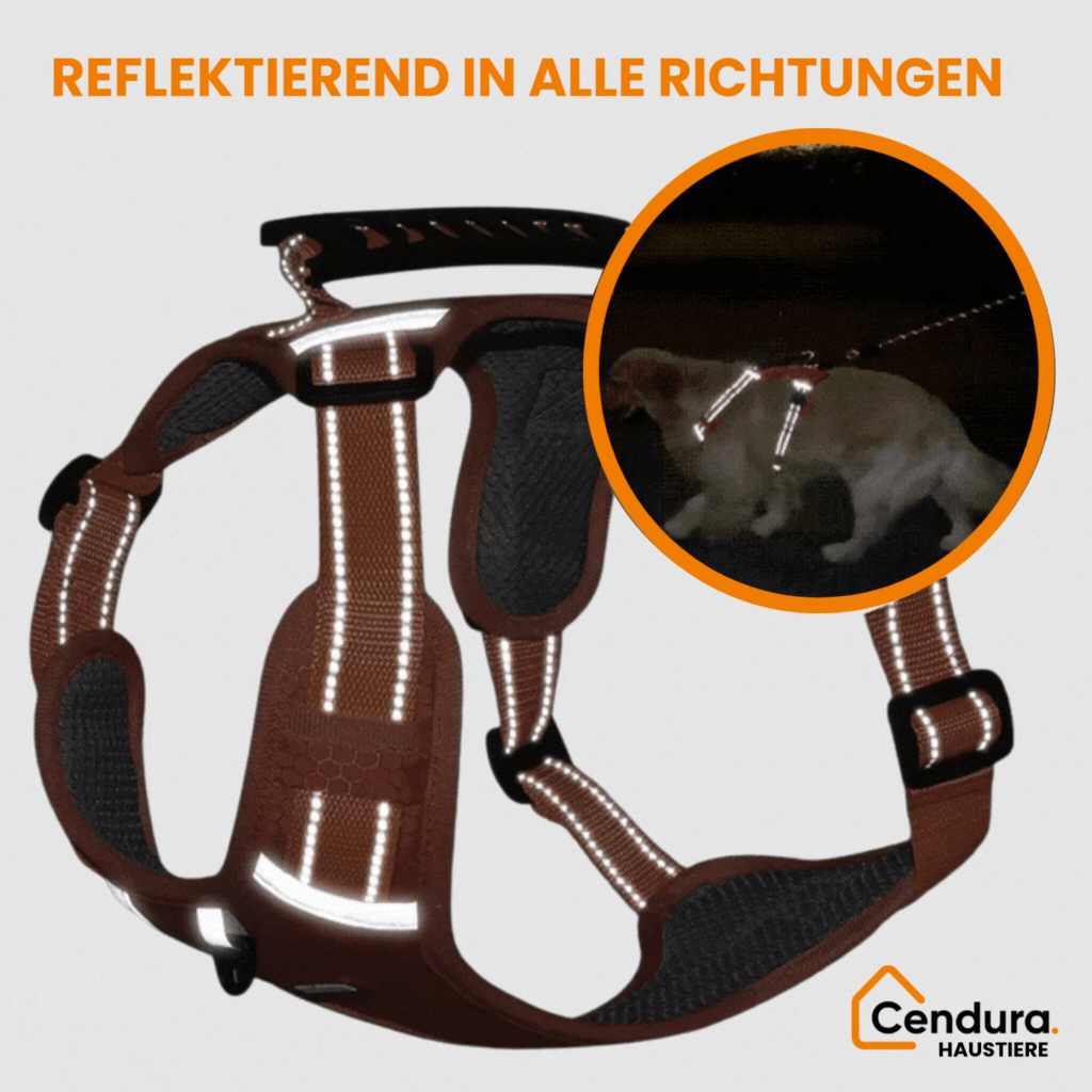 HappyHund Sikkerhedsseler Reflekterende |