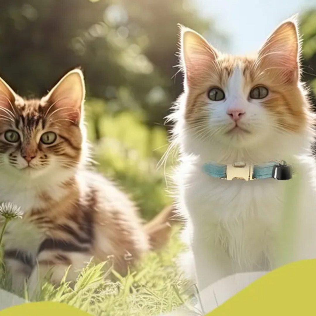 Pet Tracker Mini – Smart Bluetooth Dyrlokator med Halsbånd og Klokke