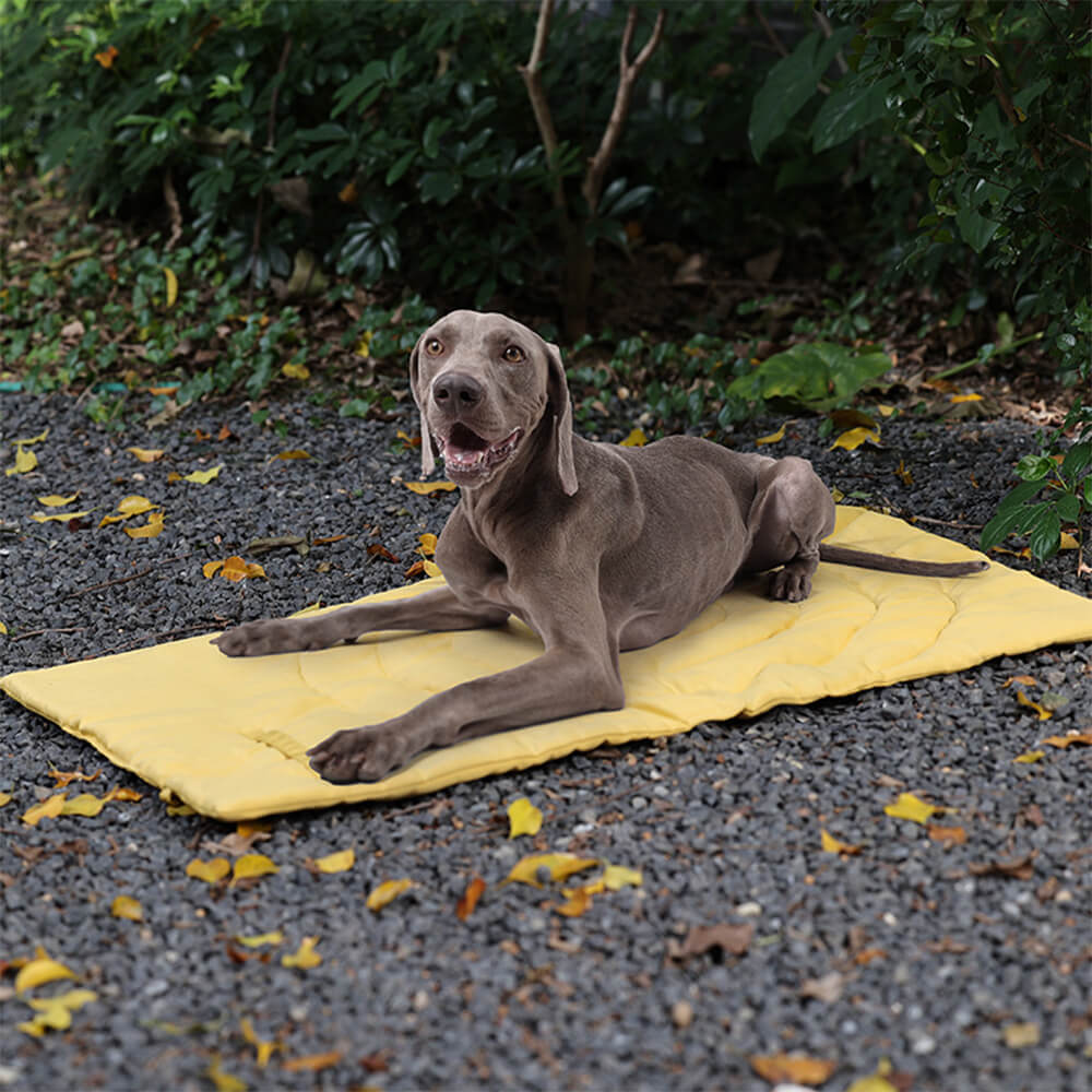 Foldbar Vandtæt Bærbar Hundebil Sædemåtte Hundecampingmåtte