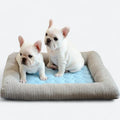 FurChill Frenchie Åndbar Hundeseng – Kølemåtte med Skridsikker Bund til Varme Dage |