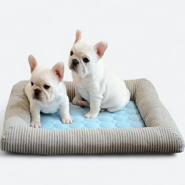 FurChill Frenchie Åndbar Hundeseng – Kølemåtte med Skridsikker Bund til Varme Dage |