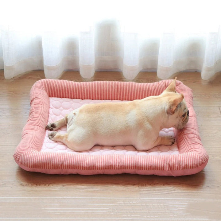 FurChill Frenchie Åndbar Hundeseng – Kølemåtte med Skridsikker Bund til Varme Dage |
