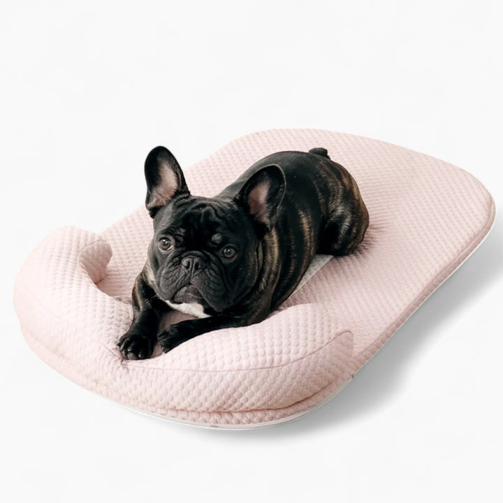 FurCool Fransk Bulldog Kølende Madras – Åndbar Vaskbar Sommer Silke Seng |