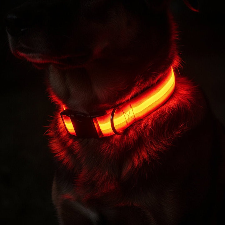 LED Sikkerheds Hundehalsbånd med Justerbar Pasform