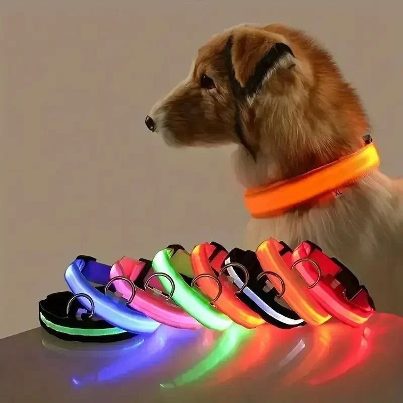 LED Sikkerheds Hundehalsbånd med Justerbar Pasform