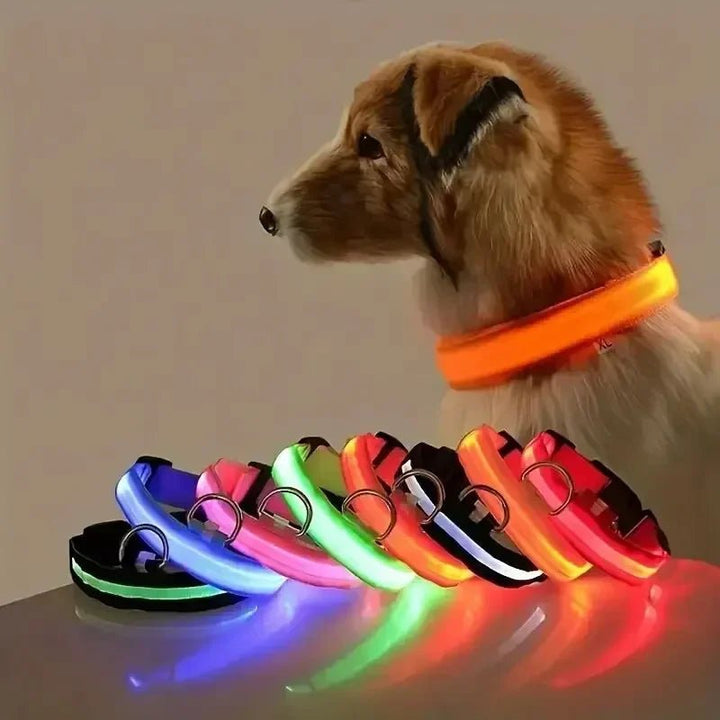 LED Sikkerheds Hundehalsbånd med Justerbar Pasform