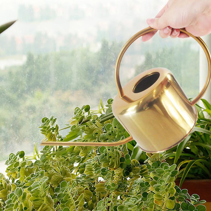 Elliptisk Vandkande