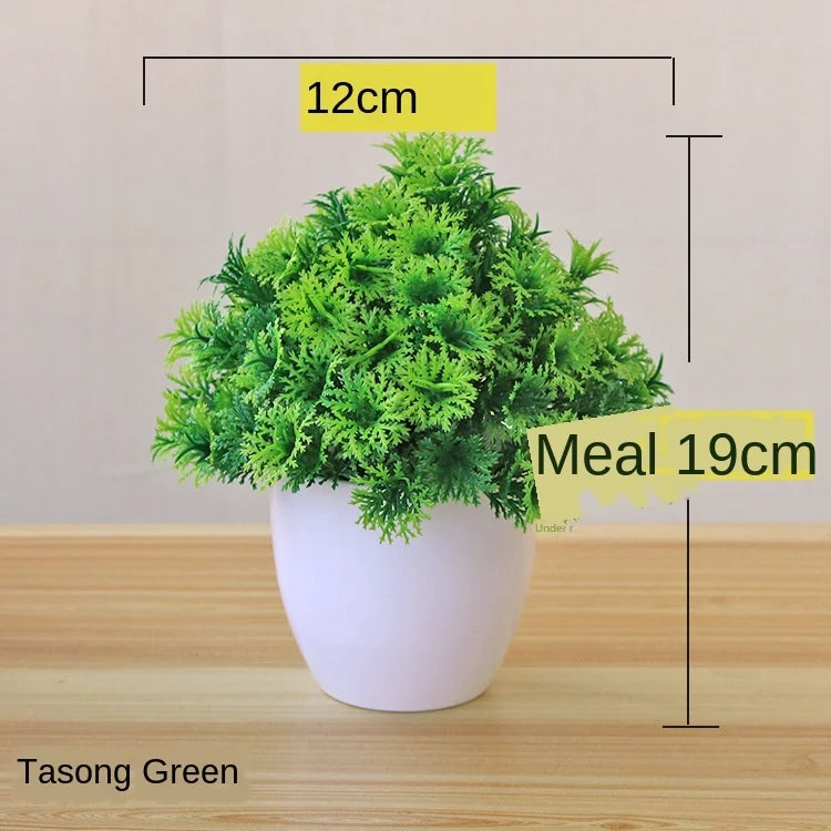 Lille Træ Pot Bonsai Planter