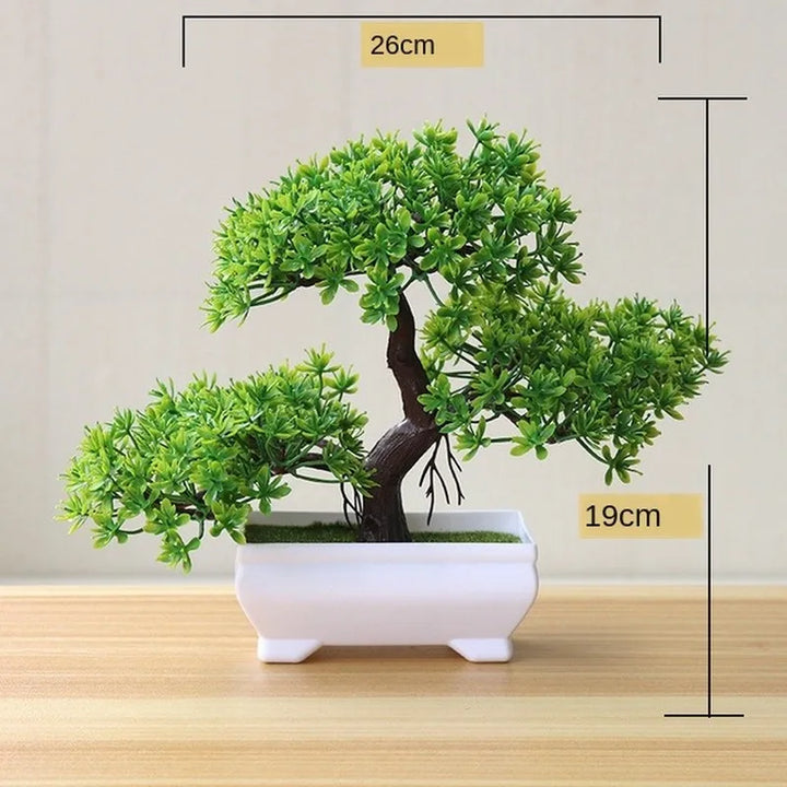 Lille Træ Pot Bonsai Planter