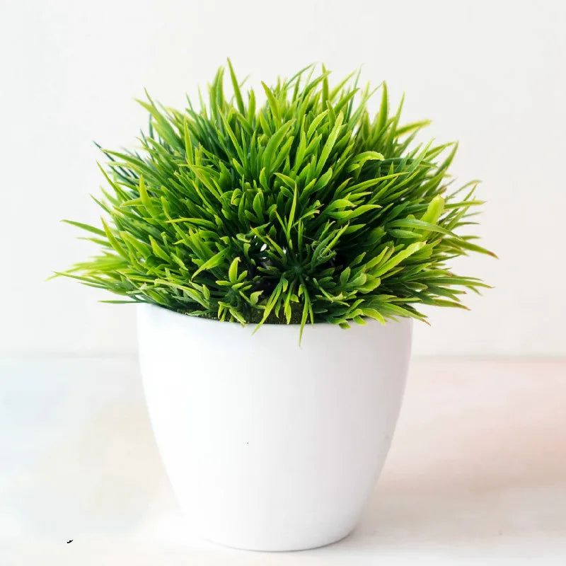 Lille Træ Pot Bonsai Planter
