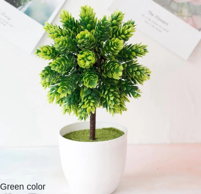 Lille Træ Pot Bonsai Planter