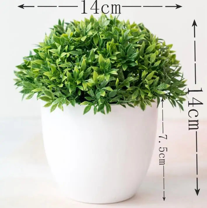 Lille Træ Pot Bonsai Planter