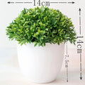 Lille Træ Pot Bonsai Planter