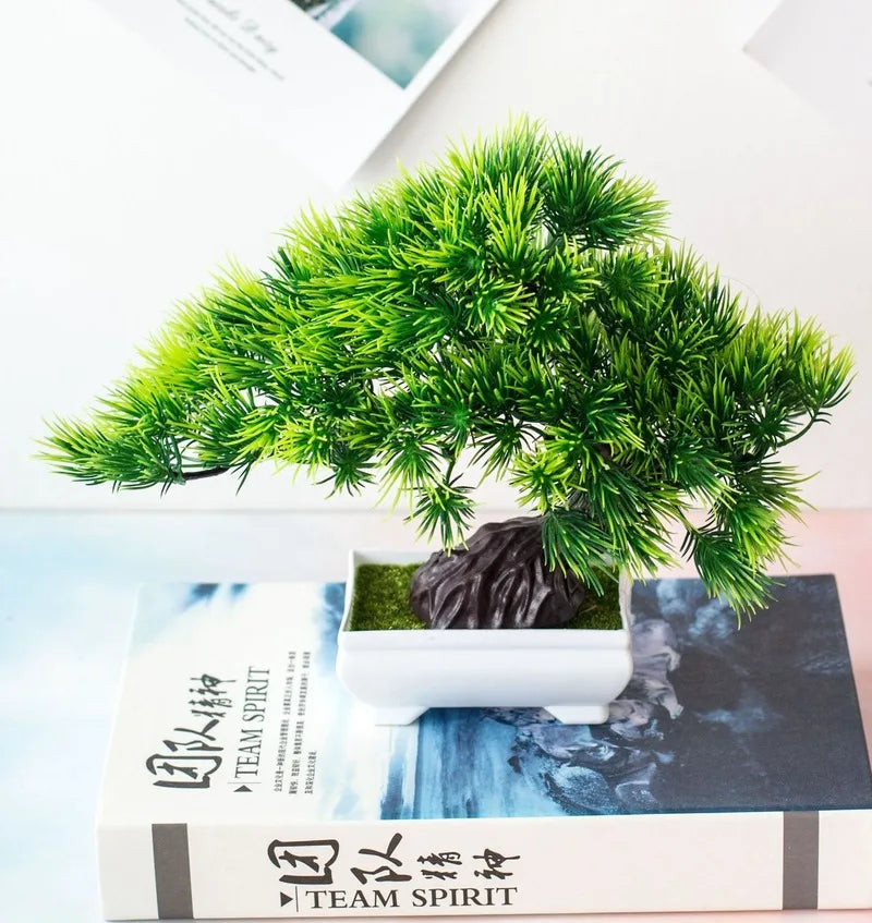 Lille Træ Pot Bonsai Planter