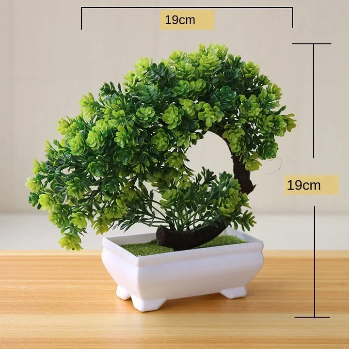 Lille Træ Pot Bonsai Planter