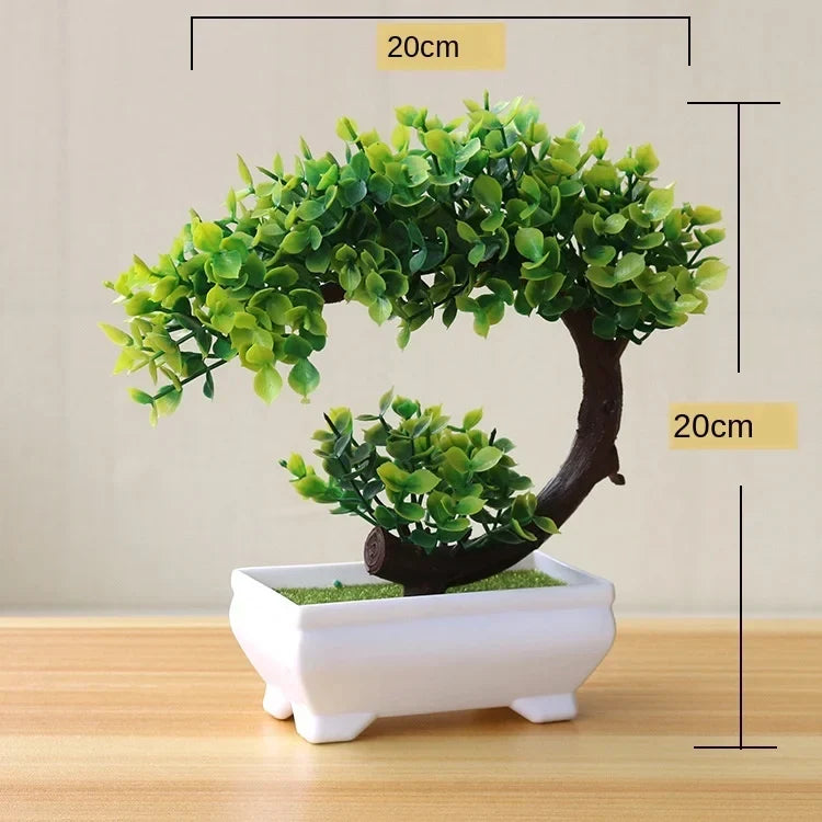 Lille Træ Pot Bonsai Planter
