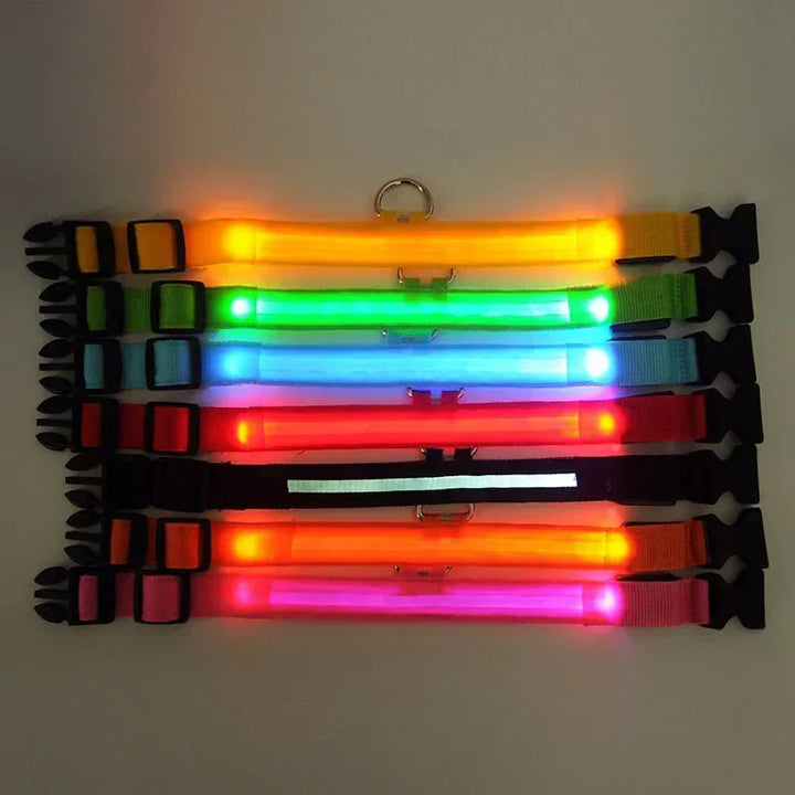 GlowPets LED Halsbånd – Sikkerhed &amp; Synlighed for Kæledyr