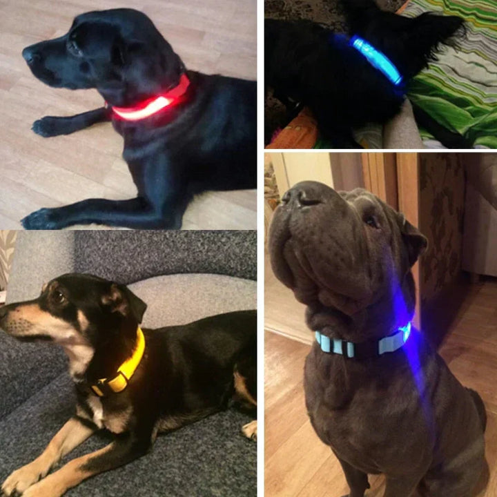 GlowPets LED Halsbånd – Sikkerhed &amp; Synlighed for Kæledyr