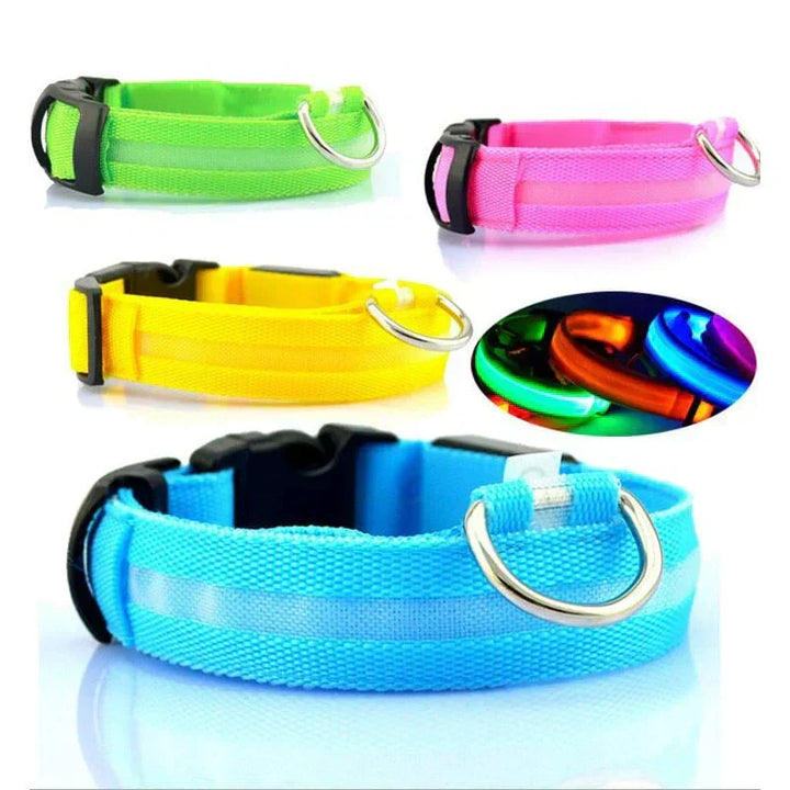 GlowPets LED Halsbånd – Sikkerhed &amp; Synlighed for Kæledyr