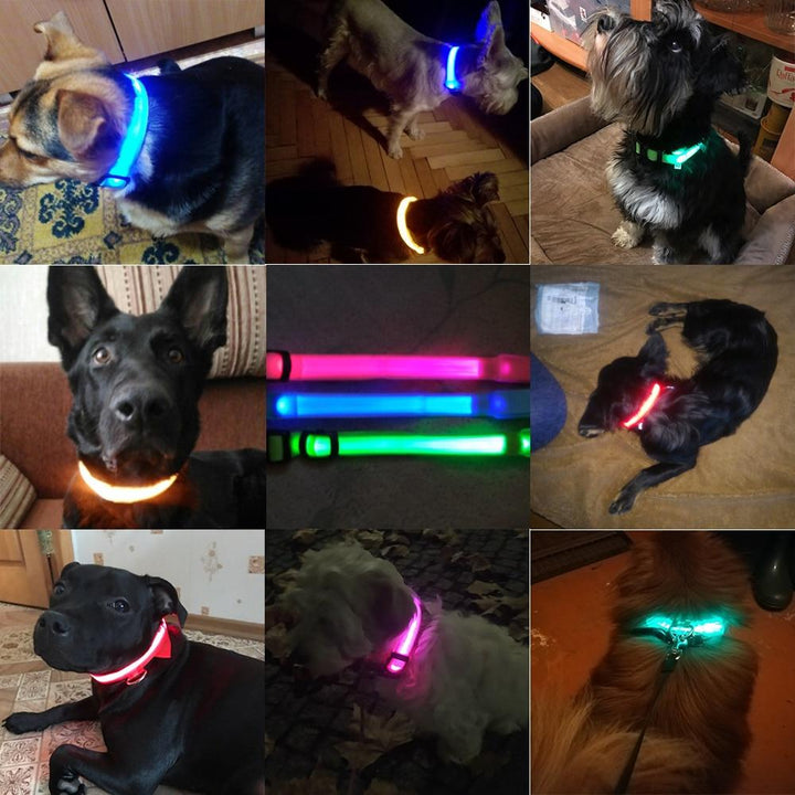 Lysende Hundehalsbånd - Blinkende Hundehalsbånd