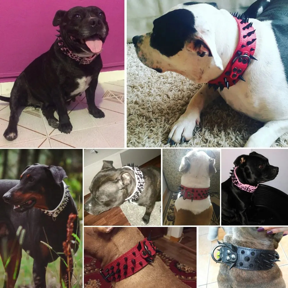 Hundehalsbånd med nitter til store hunde