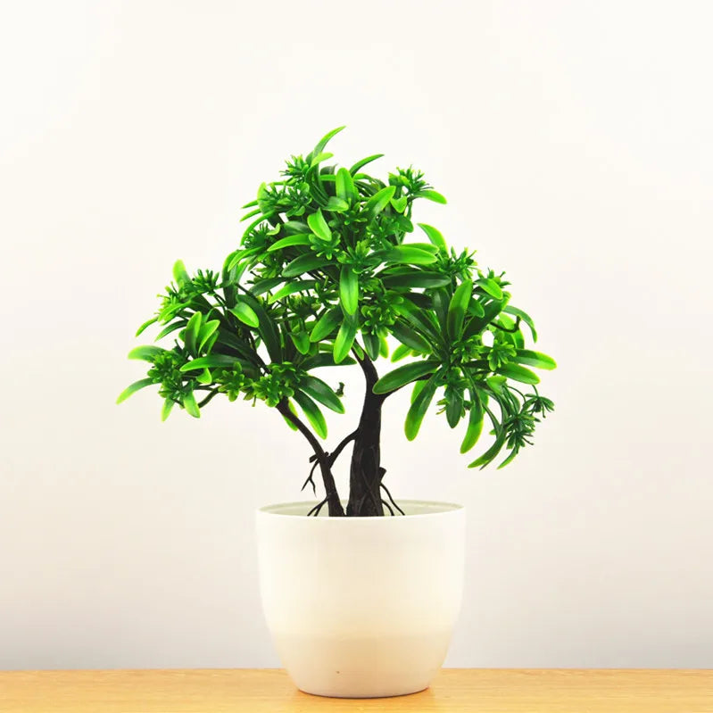 Lille Træ Pot Bonsai Planter