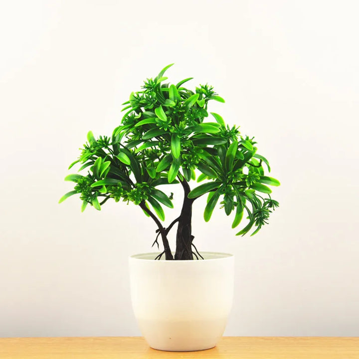 Lille Træ Pot Bonsai Planter