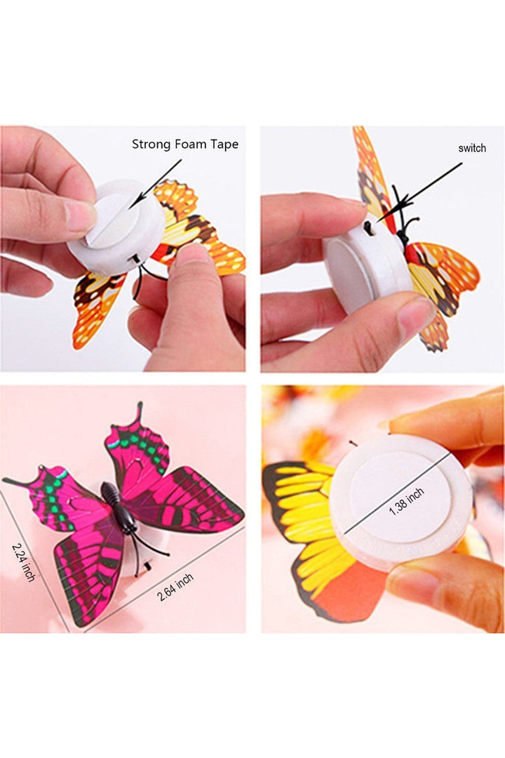 Sommerfugl natlys |