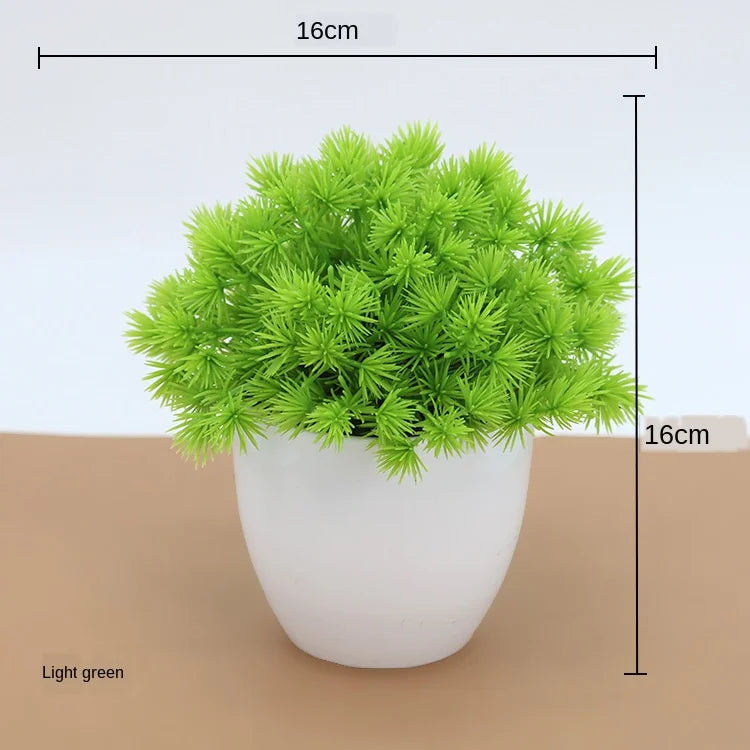 Lille Træ Pot Bonsai Planter