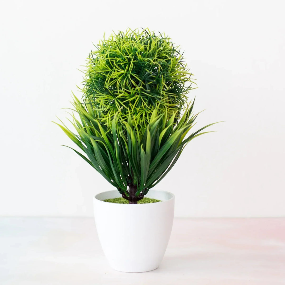 Lille Træ Pot Bonsai Planter