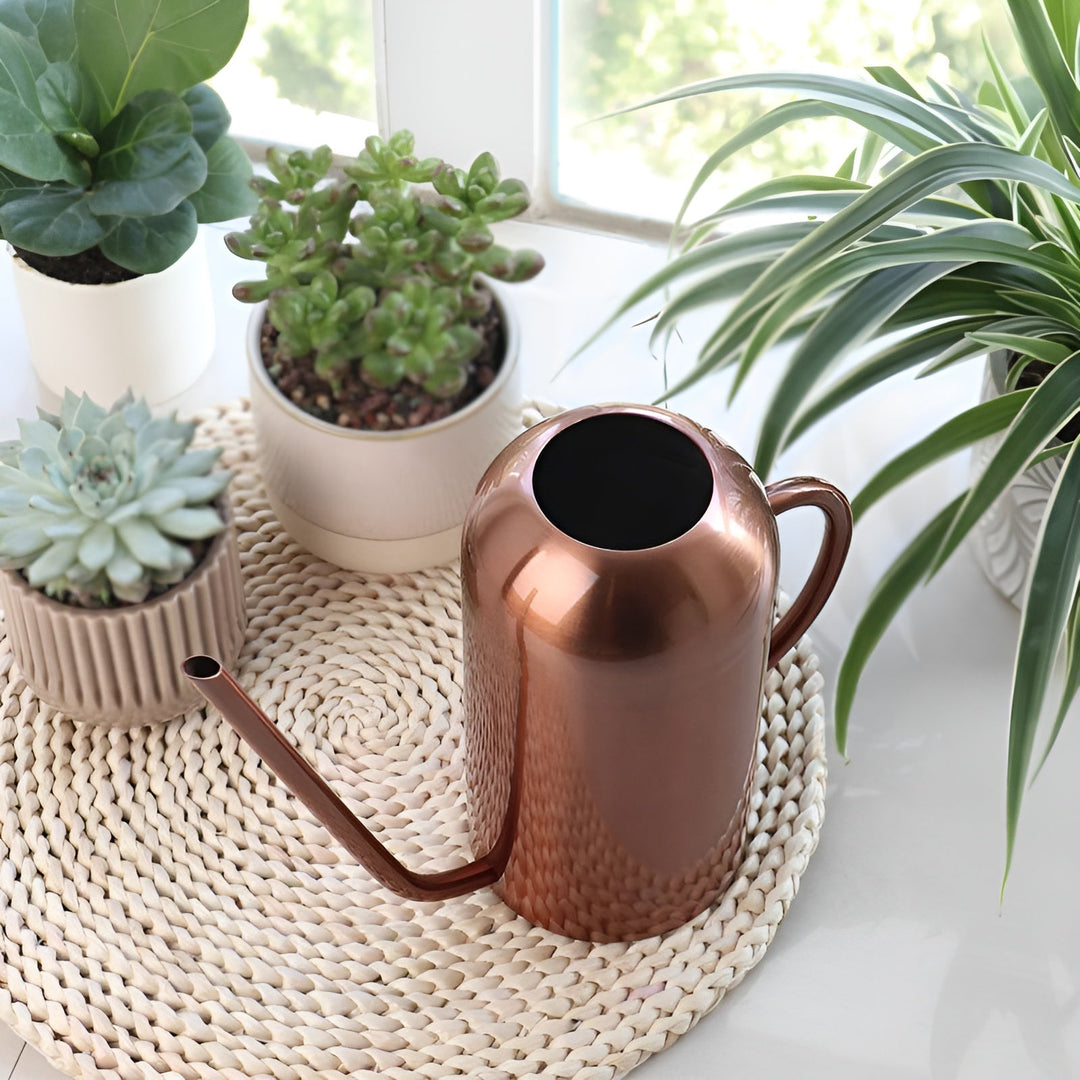 Rustfrit Stål Kande - 1,5L Lang Vandkande til Planter og Blomster
