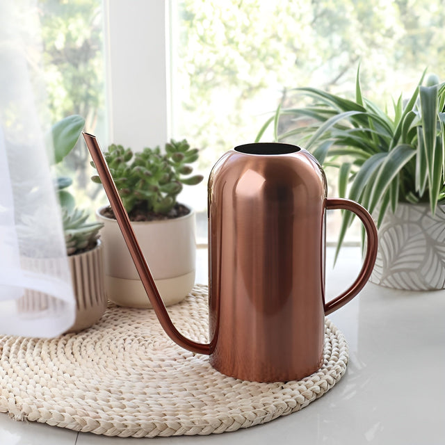 Rustfrit Stål Kande - 1,5L Lang Vandkande til Planter og Blomster