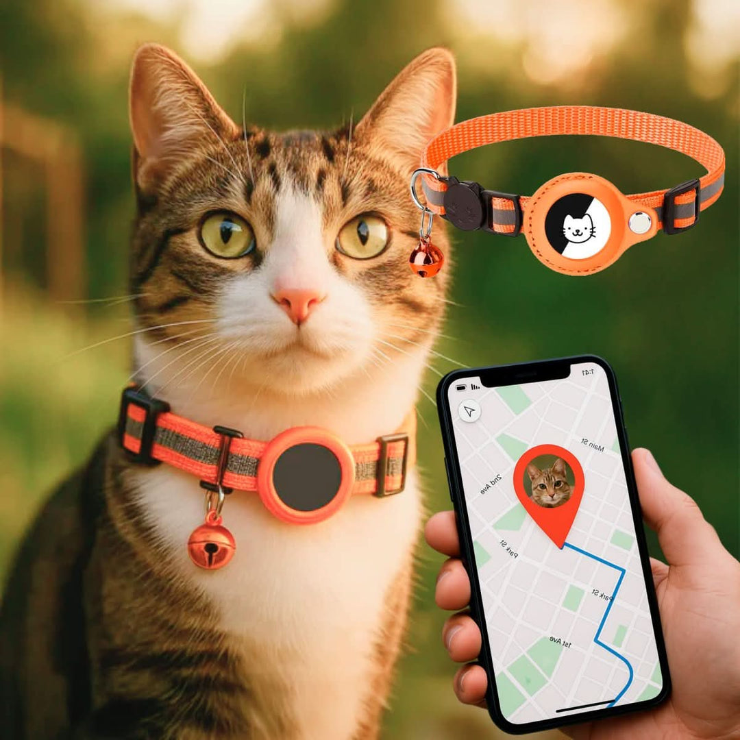 GPS Halsbånd til Katte med Reflekterende Design