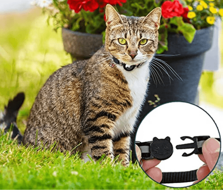 GPS Halsbånd til Katte med Reflekterende Design