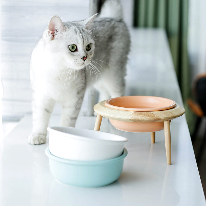 Misha Keramisk Hævet Katte Skål med Træstativ