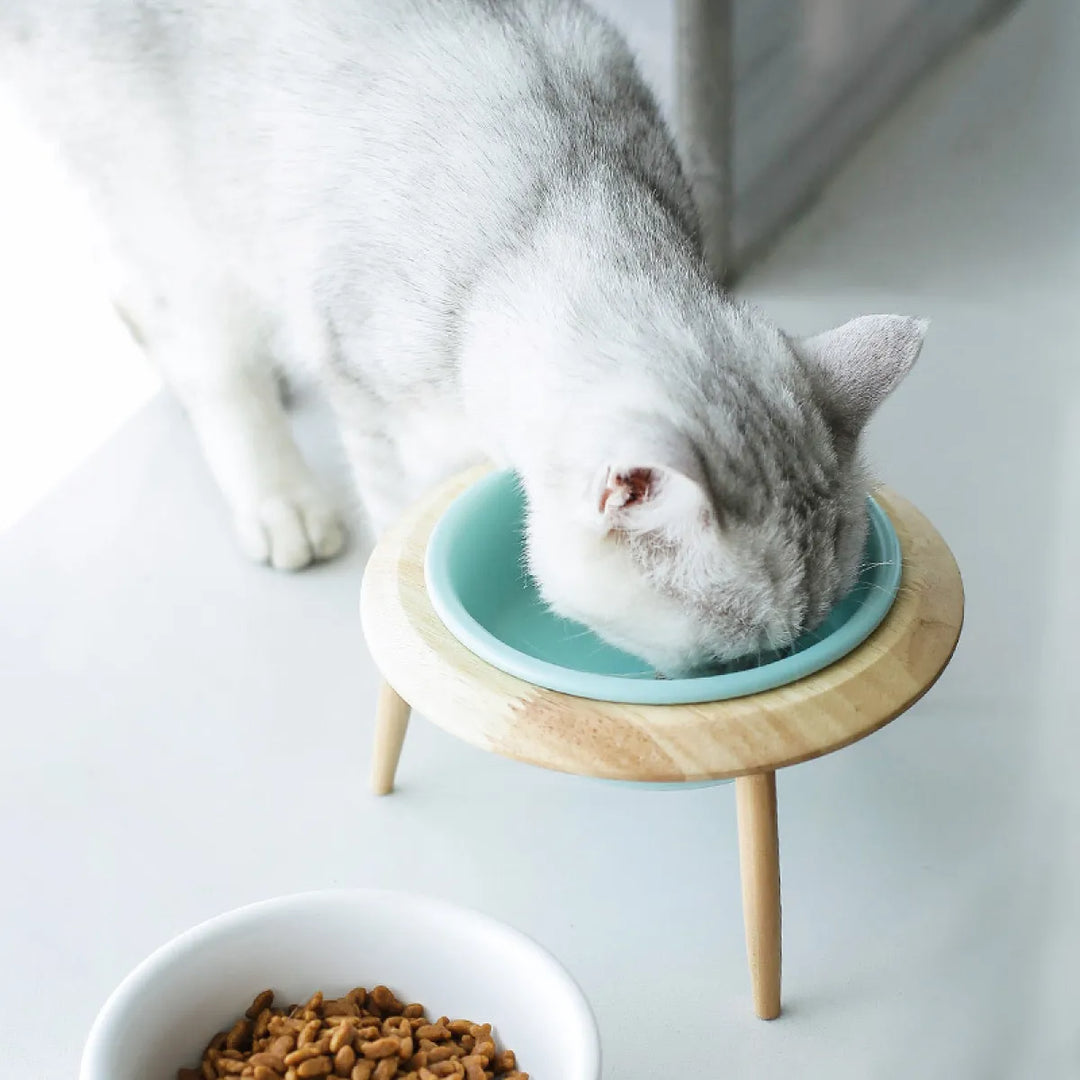 Misha Keramisk Hævet Katte Skål med Træstativ