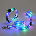 LED Hundehalsbånd med Snor – NightBright
