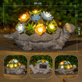 Solcelledrevet Succulent Skildpadde Haveplante Nattelys Ornament