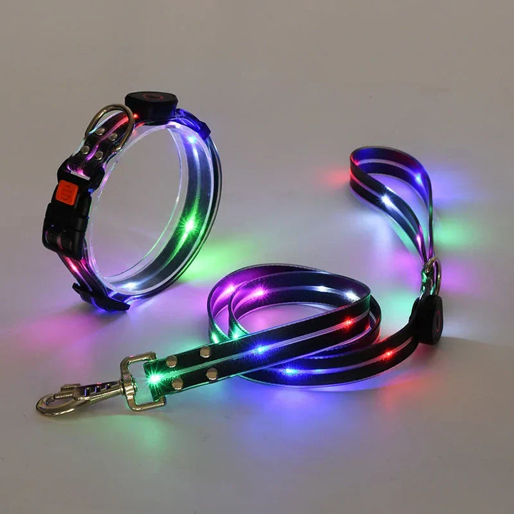 LED Hundehalsbånd med Snor – NightBright