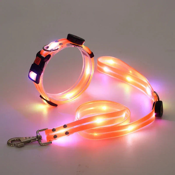 LED Hundehalsbånd med Snor – NightBright