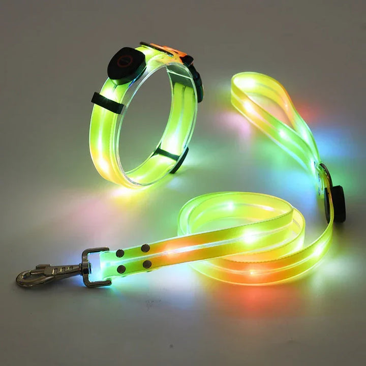 LED Hundehalsbånd med Snor – NightBright