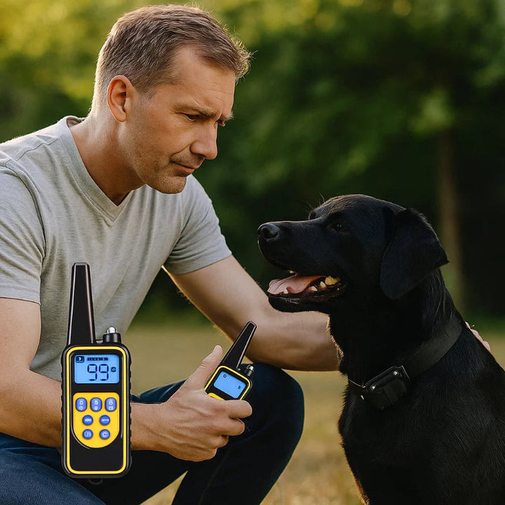 Vandtæt Hundetræningskrave med Fjernbetjening og 3 Tilstande