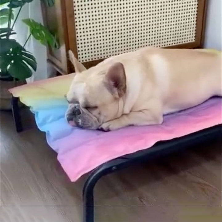 IcePup Frenchie Sommer Køllemåtte med Avanceret Is Teknologi |