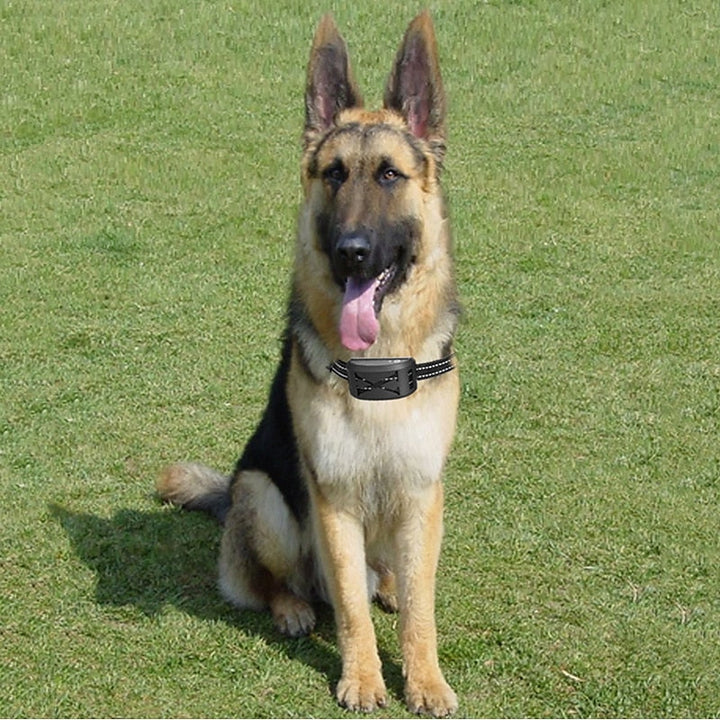 Trådløst Hundegitter System med Justerbar Vandtæt Halsbånd – Op til 240 Meter Rækkevidde