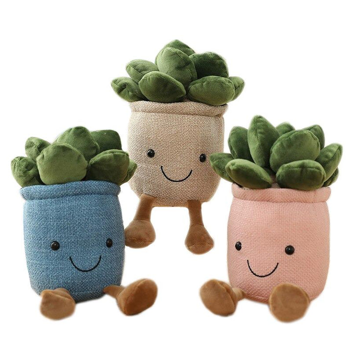 Plante Plyds