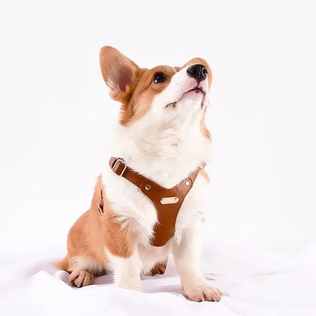 Justerbart Læder Hundesele med Tilpasset Gravering